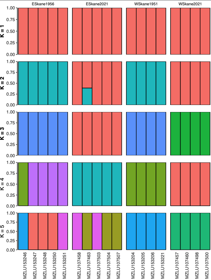 Admixture analyses using the whole genome