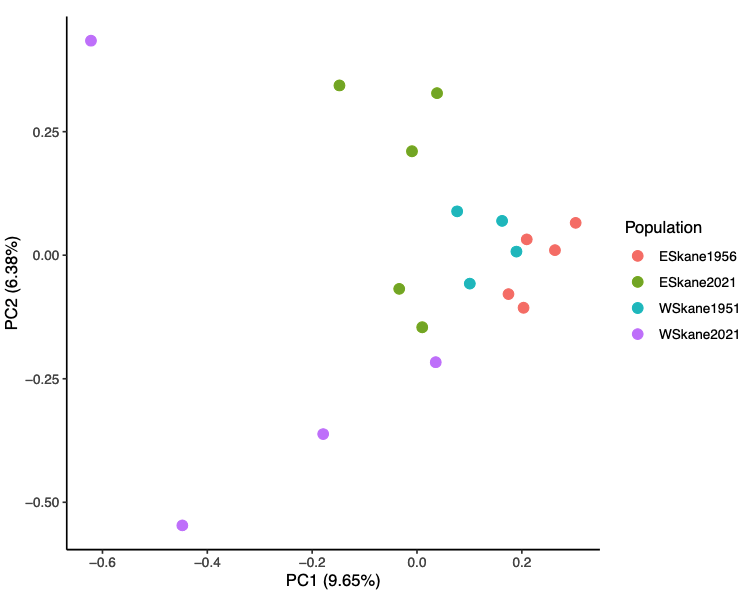 A PCA illustrating population structure