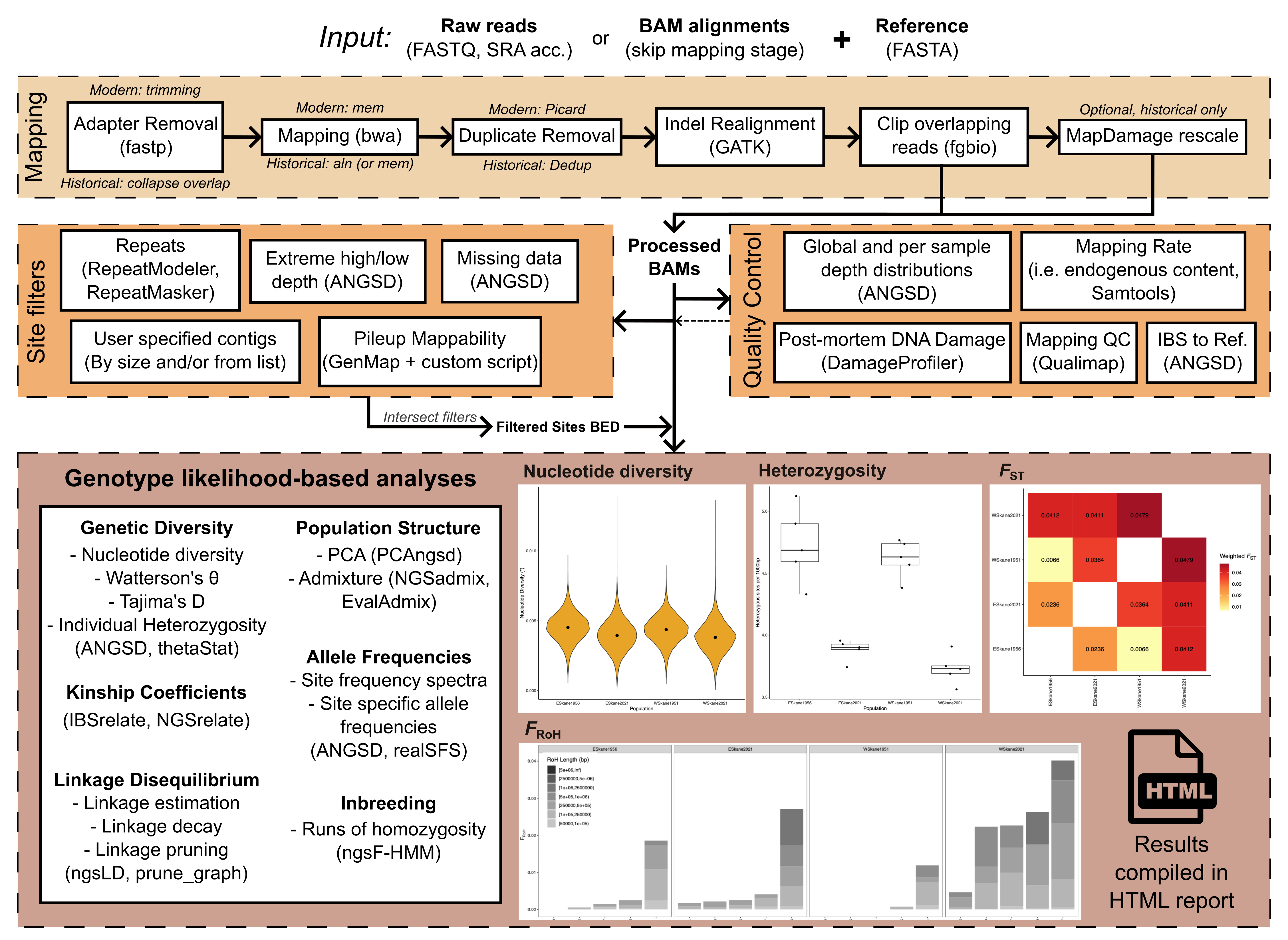 A summary flowchart of the workflow